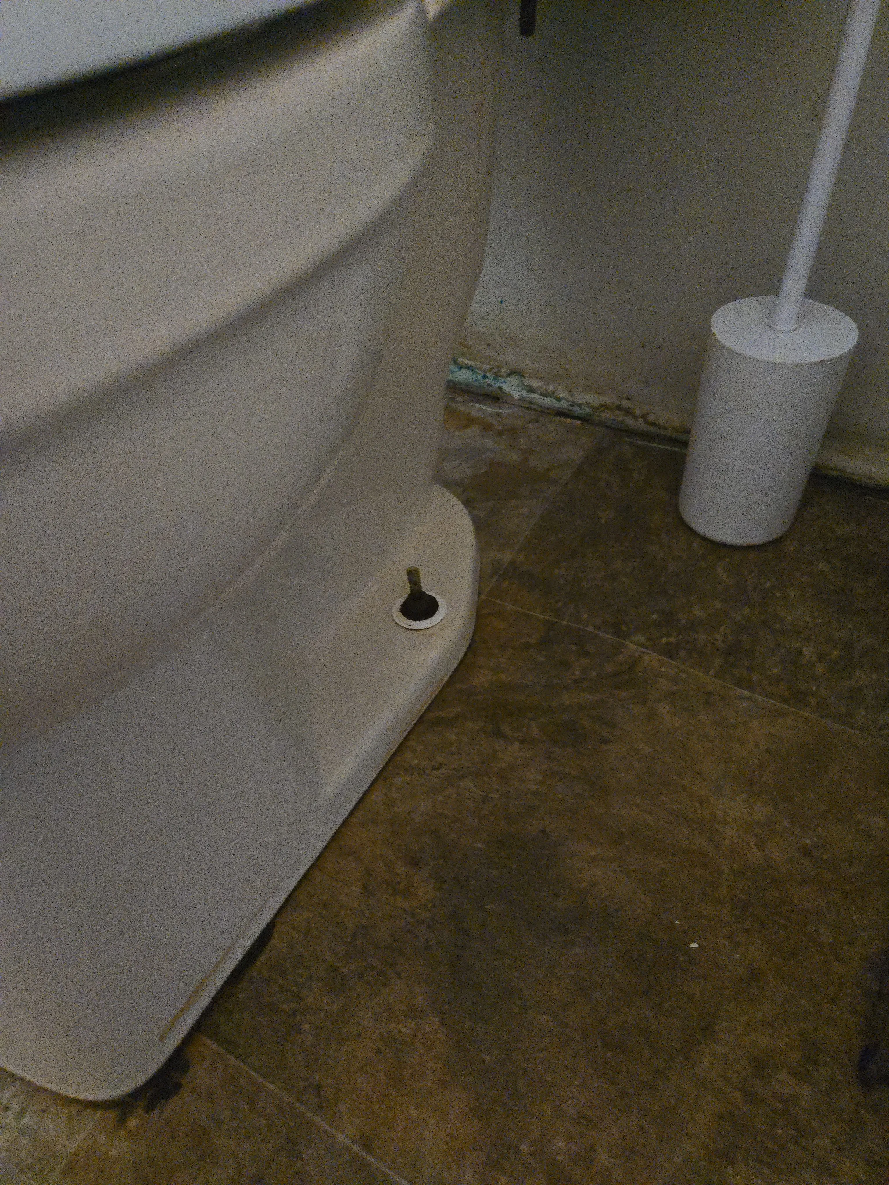 Bathroom toilet after cleaning with the fixture reset