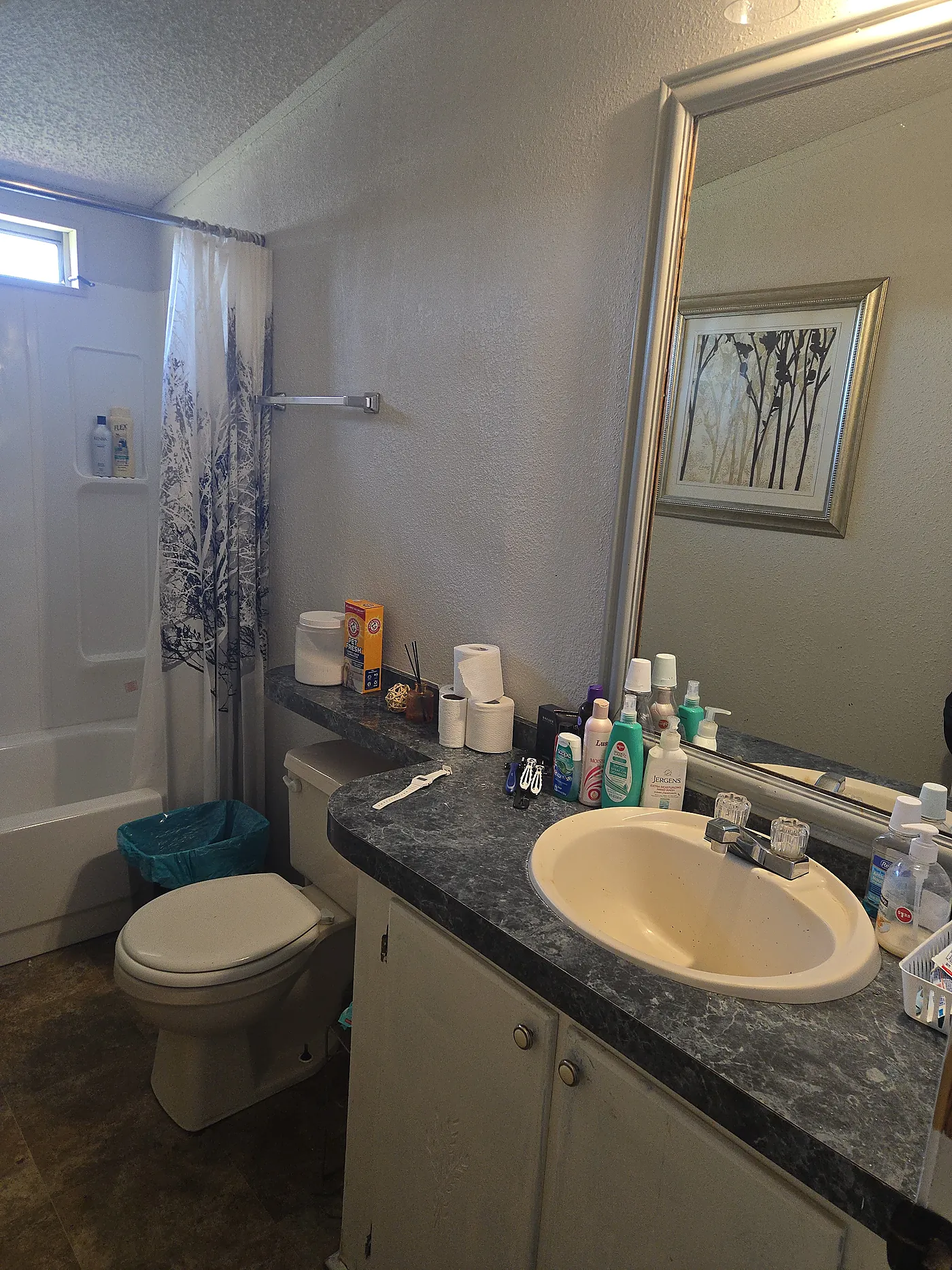 Bathroom after cleaning with fixtures, vanity, and floor reset