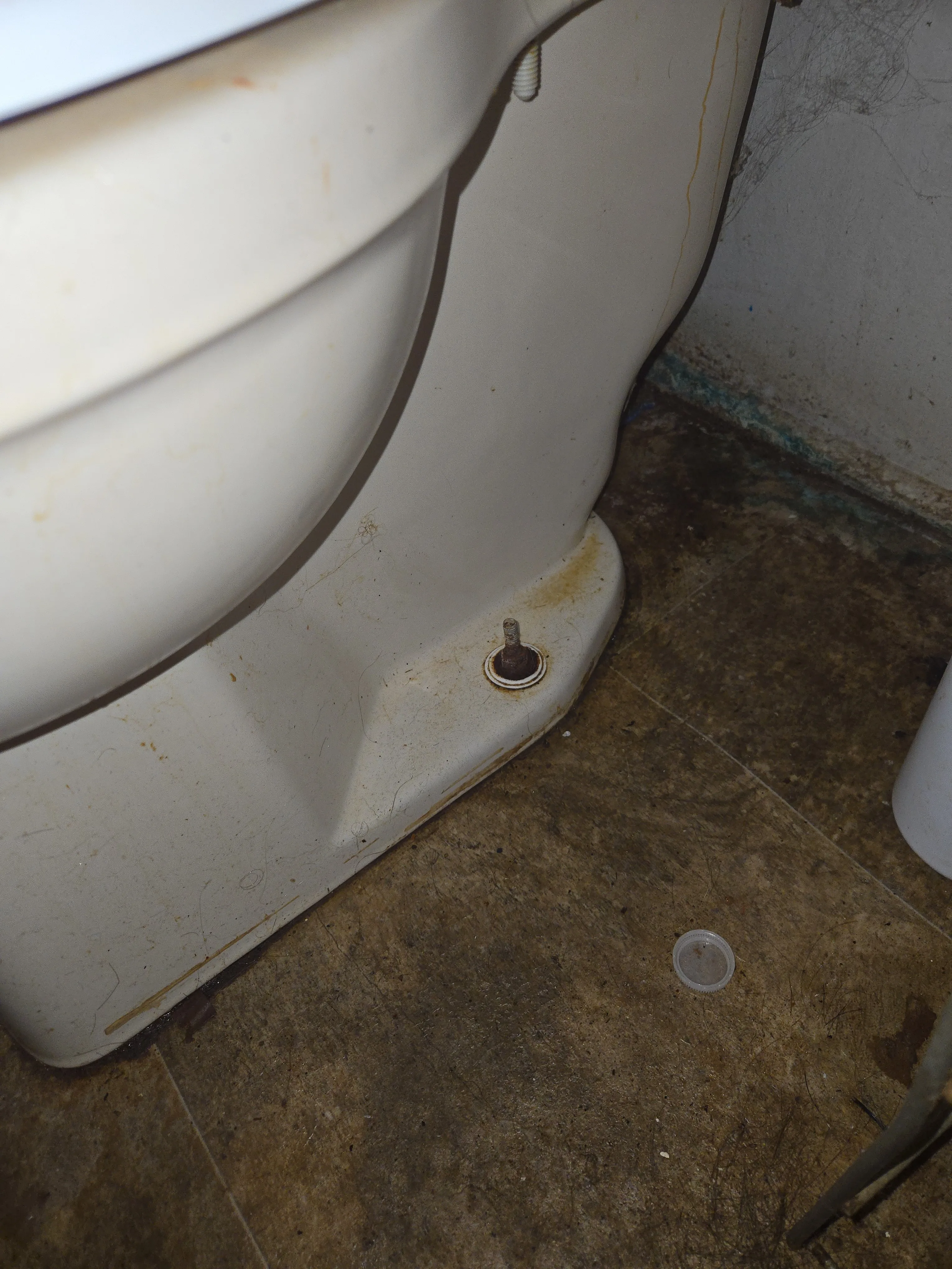 Bathroom toilet before cleaning with visible use and residue