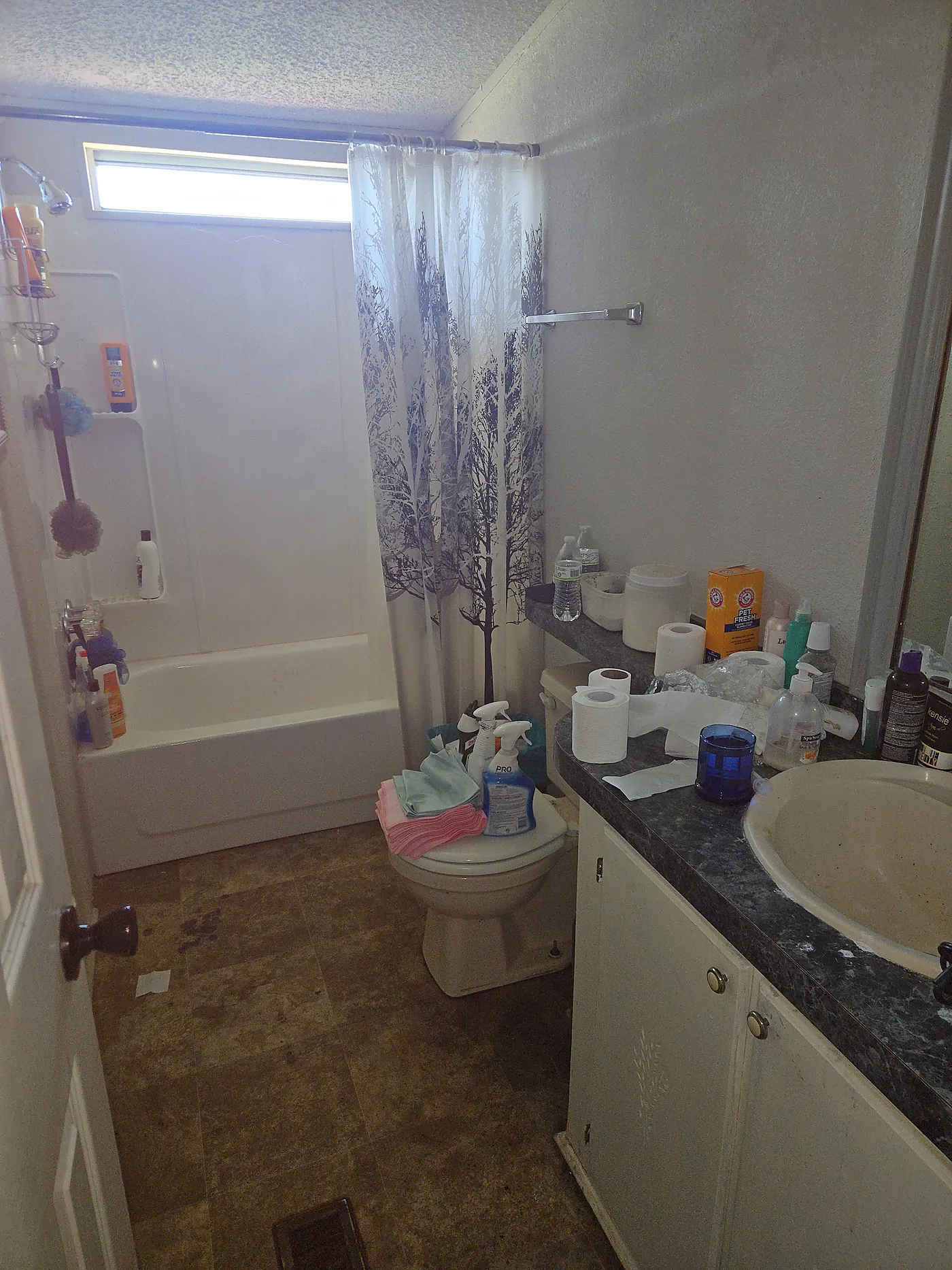 Bathroom at arrival before turnover cleaning