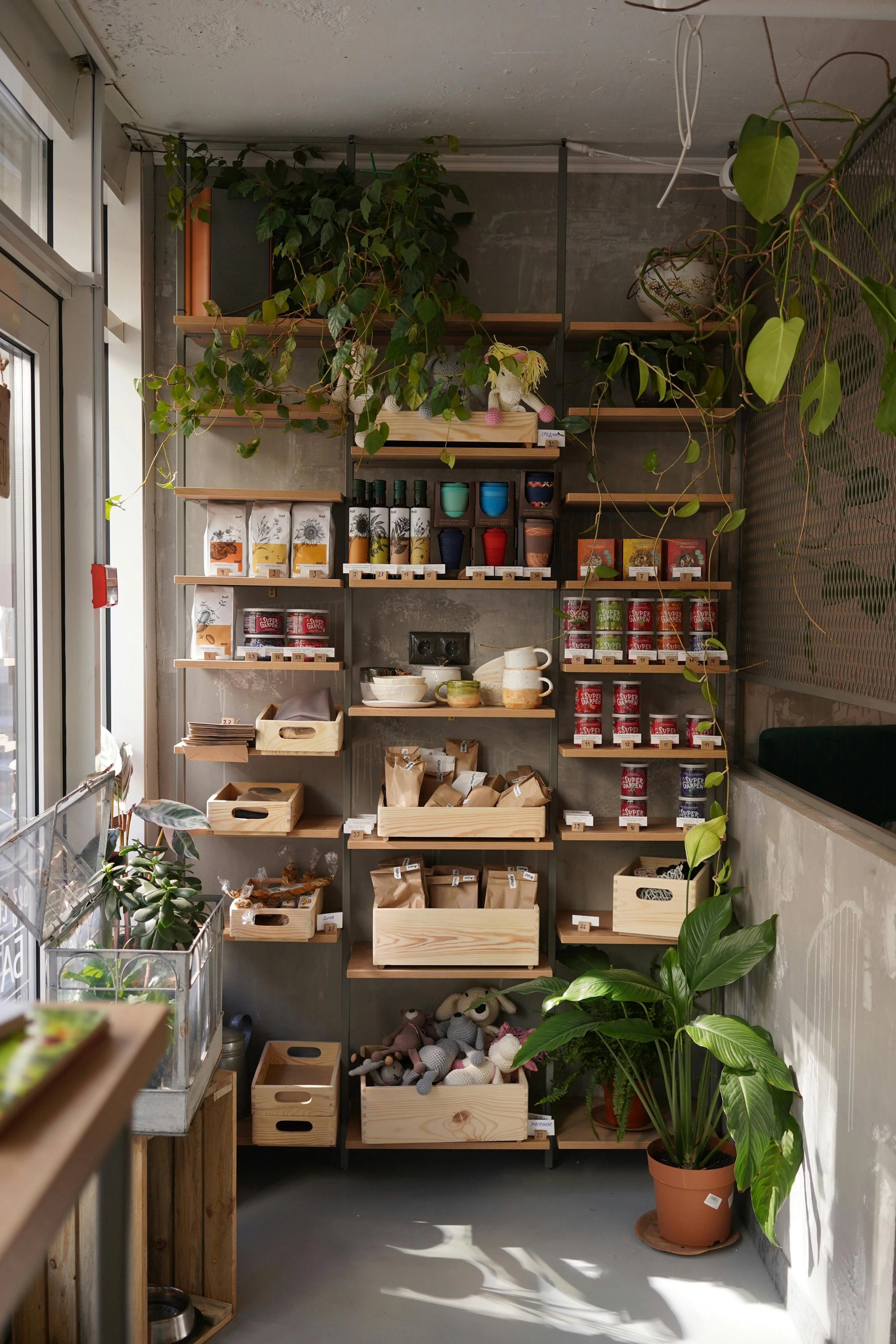 Organized pantry representing organization services